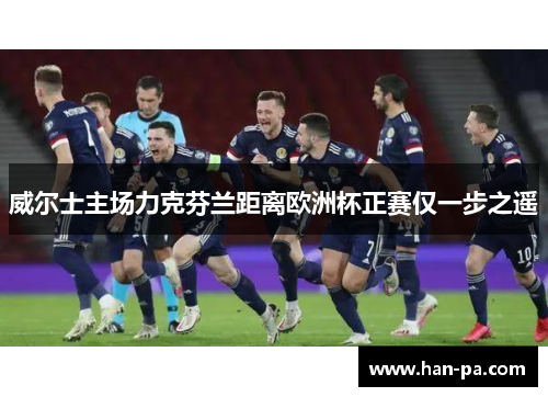 威尔士主场力克芬兰距离欧洲杯正赛仅一步之遥