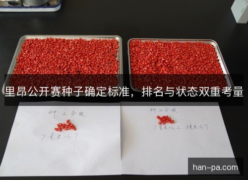 里昂公开赛种子确定标准,排名与状态双重考量 里昂公开赛种子确定标准,排名与状态双重考量